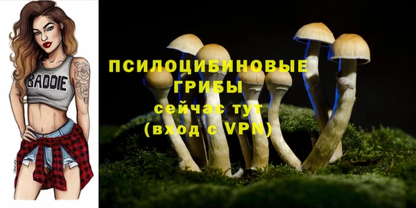 соль ск Абдулино