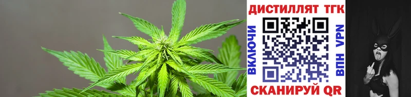 дарнет шоп  Нариманов  Дистиллят ТГК THC oil 
