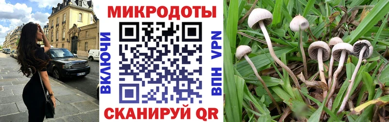 где купить наркоту  Нариманов  Псилоцибиновые грибы мицелий 